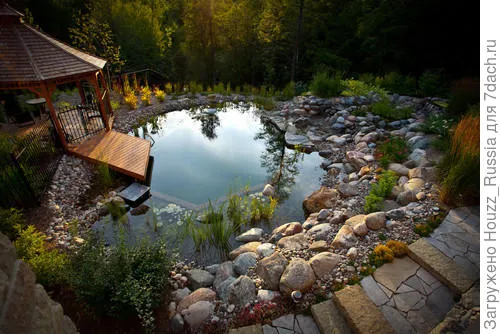Natural Swimming Pool by the Forest