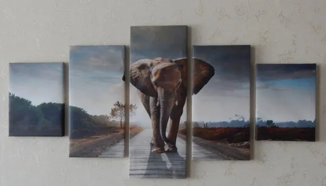 Составная картина со слоном