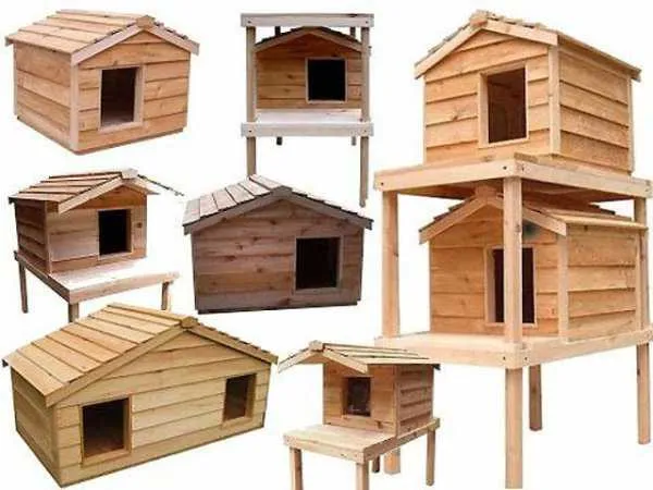 Модели деревянный уличных домов для кошек
