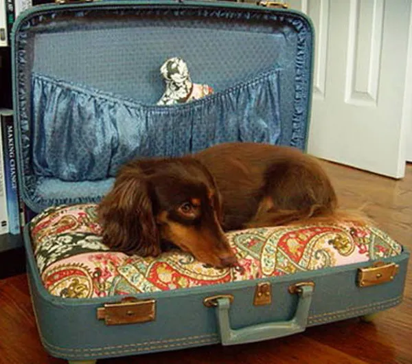 Будка-чемодан