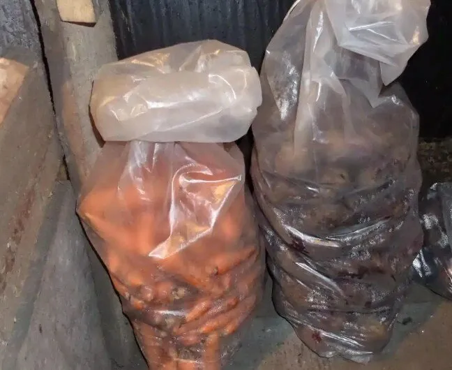 1 Хранение моркови в зиму