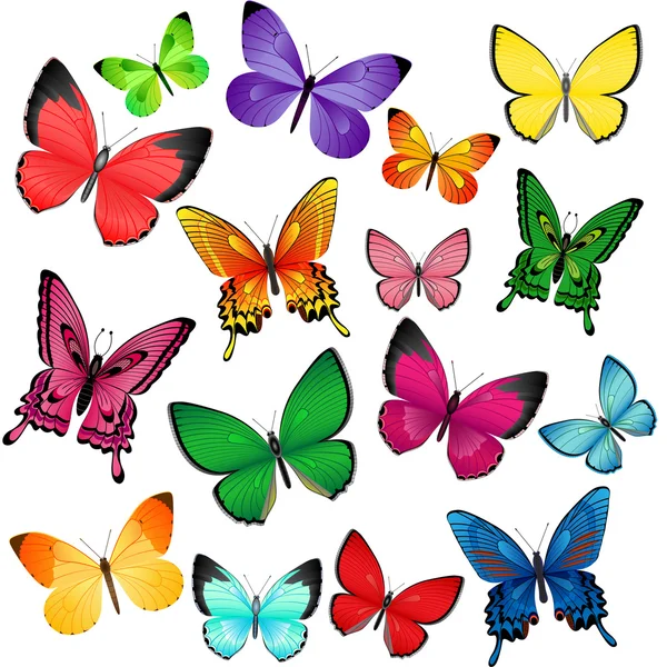 Цветные бабочки - векторные изображения ...